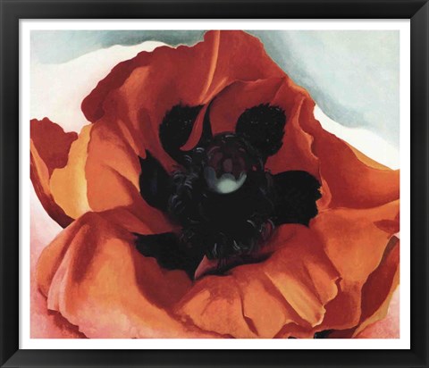 Framed Poppy Print