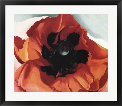 Framed Poppy Print