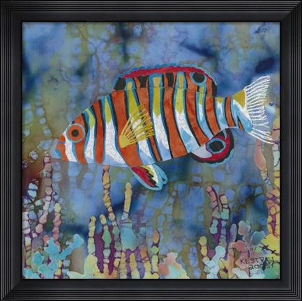 Framed Harlequin Tusk Fish Print