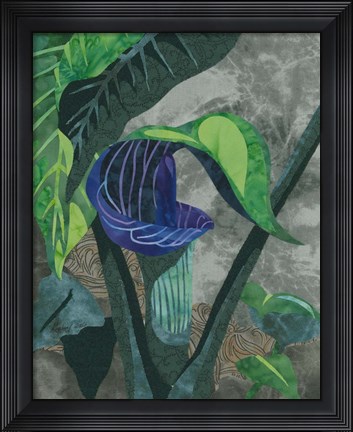 Framed Jack In The Pulpit Print
