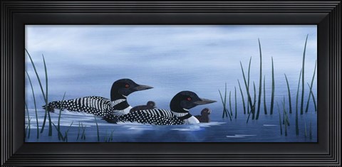 Framed Family of Loons Print