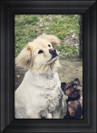 Framed Don&#39;t Forget Me Print
