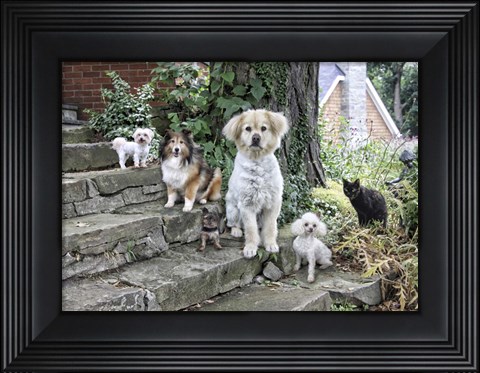 Framed Furry Family Print