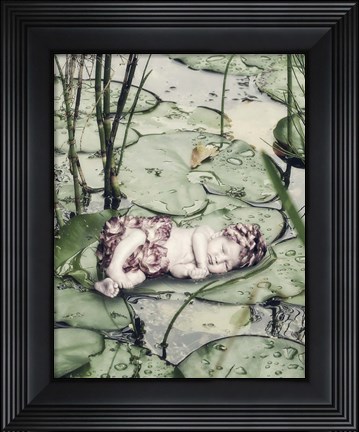 Framed Sleeping on Lily Pads Print
