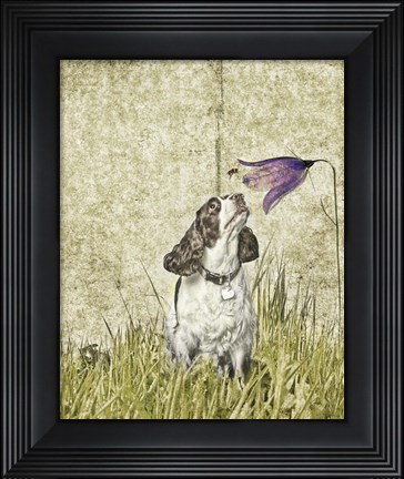 Framed Discovering Nature Print
