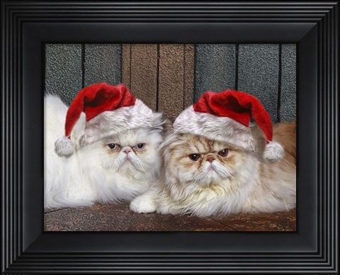 Framed Mad Cats Print