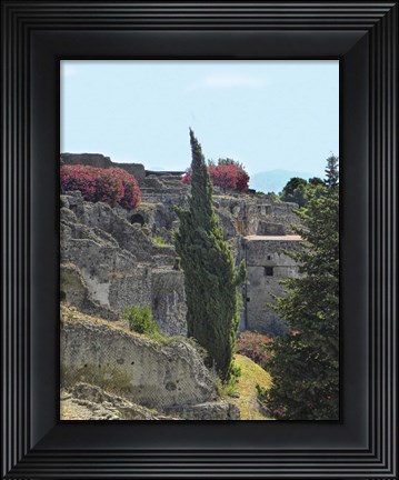 Framed trip tree Print