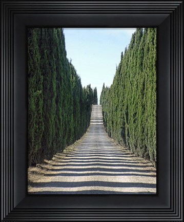 Framed Trip Treepath Print