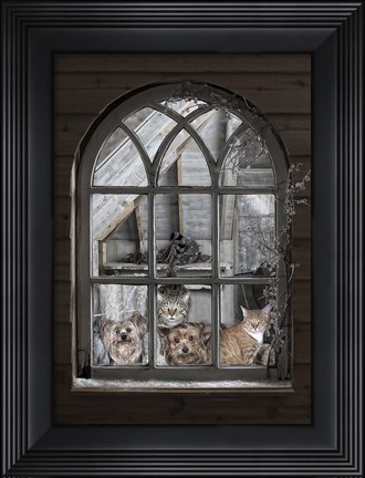 Framed Bird Watchers Print