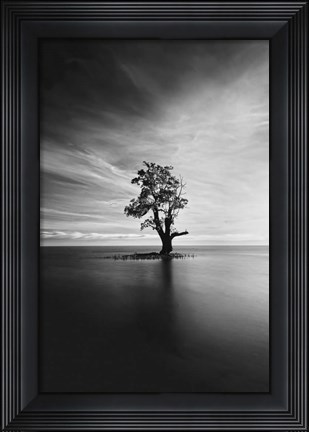 Framed Light Catcher Print