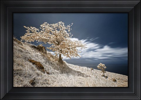 Framed Mother and Child Print