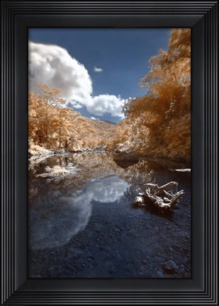 Framed Unflappable Print