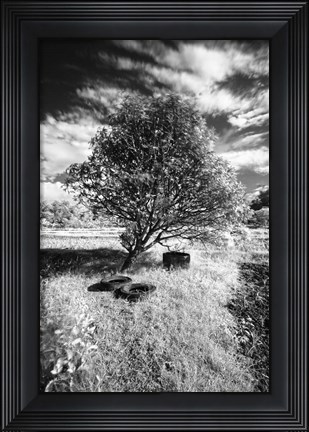 Framed Lonesome Print