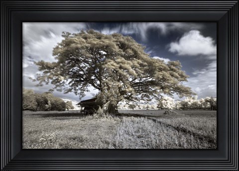 Framed San Gabriel Print