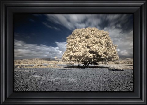 Framed Papsikol Print