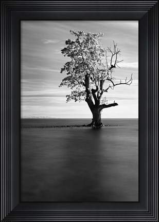 Framed Solitude Print