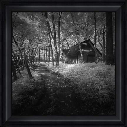 Framed Cabin in the Woods Print