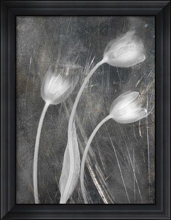 Framed 3 Tulipanes Con Red Bn Scratch Print