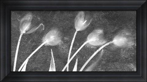 Framed Flores Congeladas 3646 Bn Print
