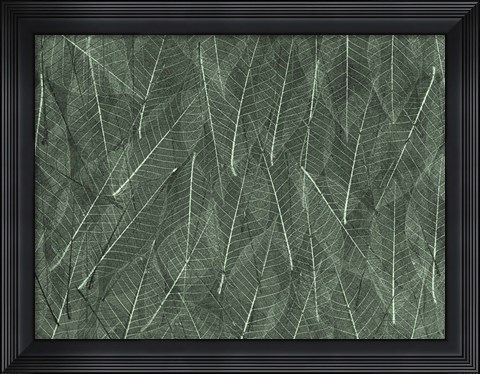 Framed Leaves 1 Green Print