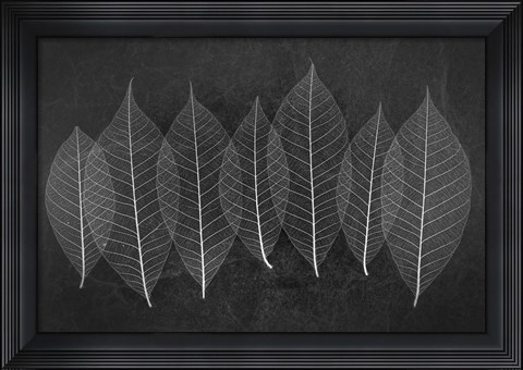 Framed Leaves 3 Print