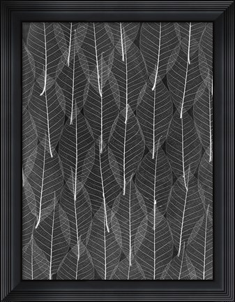 Framed Leaves 4 Print