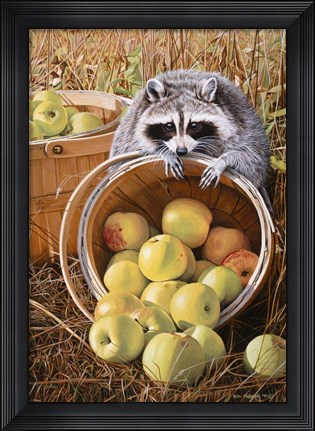 Framed Apple Harvest Print