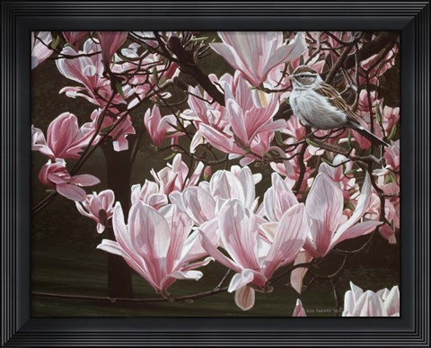 Framed Magnolia Print