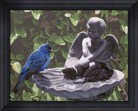 Framed Water Dish Print