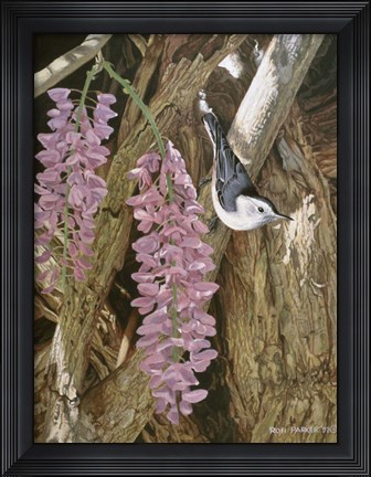 Framed Wysteria Print