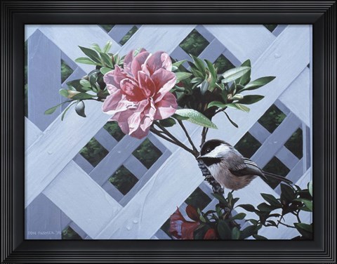 Framed White Lattice Print