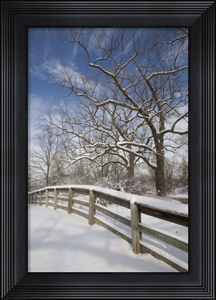 Framed Fence in the Snow #2, Farmington Hills, Michigan 09 Print