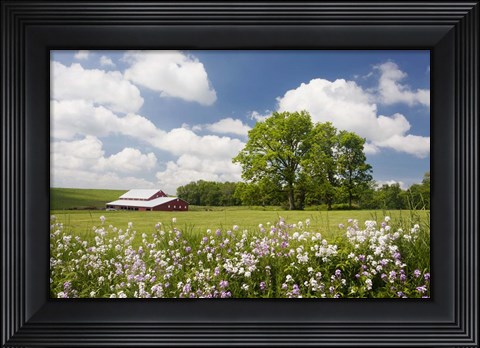 Framed Flowers &amp; Farm, Holmes County, Ohio 10 Print