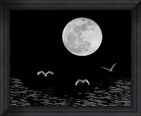 Framed Moon Flight, Delray Beach, Florida 10 Print