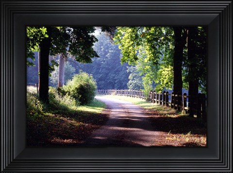 Framed Path Into the Woods, Burgandy, France 99 Print