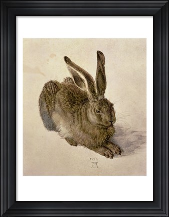 Framed Young Hare, c.1502 Print