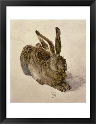 Framed Young Hare, c.1502 Print