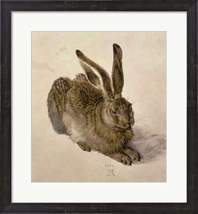 Framed Young Hare, c.1502 Print