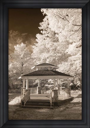 Framed Gazebo Print