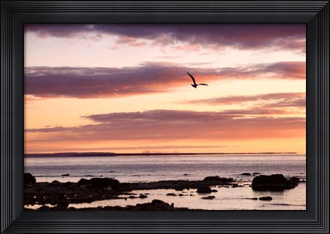 Framed Flying At Sunrise, Sault St. Marie, Michigan 12 Print