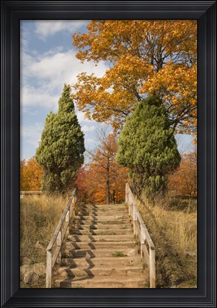 Framed Wooden Steps In Autumn, Marquette, Michigan 12 Print