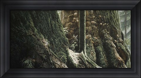 Framed Blacktail In Sitka Print