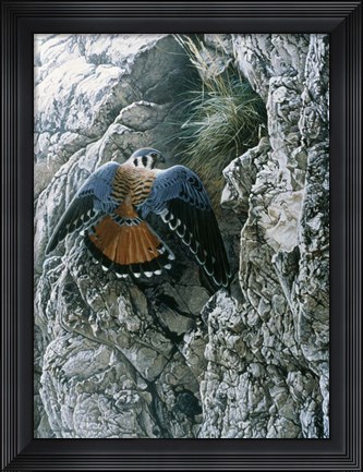 Framed Rocky Perch Print