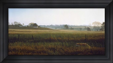 Framed Autumn Fields - Red Fox Print