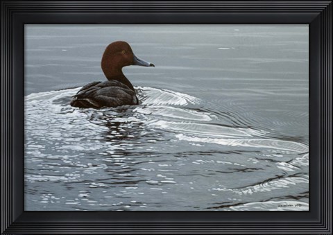 Framed Silver Wake - Redhead Print