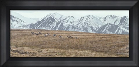 Framed Northern Skyline - Caribou Print