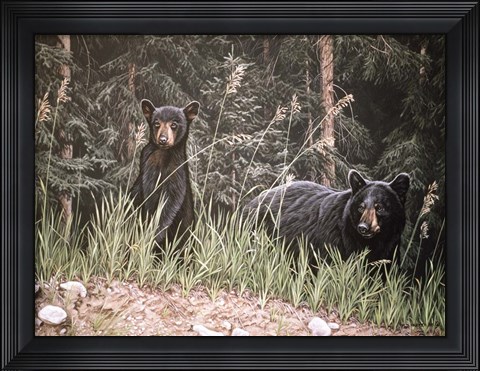 Framed Curious Cub Print