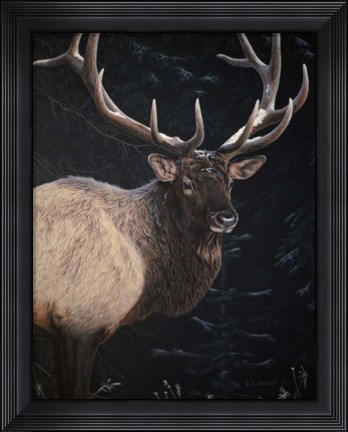 Framed Wapiti Portrait Print