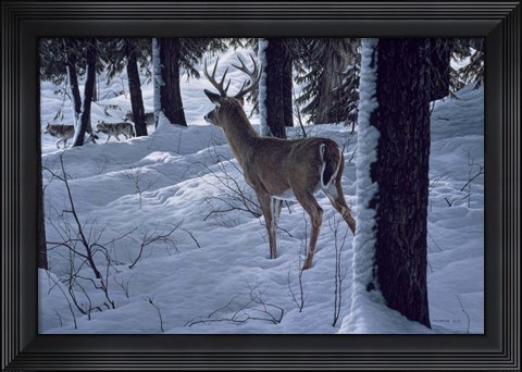 Framed Whitetail &amp; Wolves Print