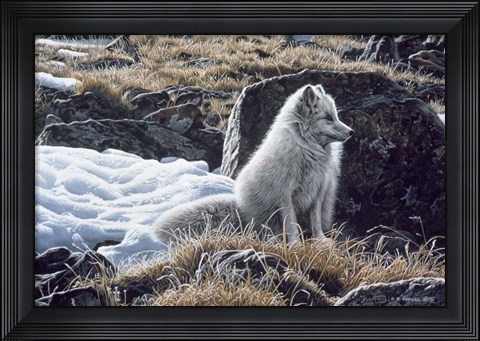 Framed Northern Morning Print